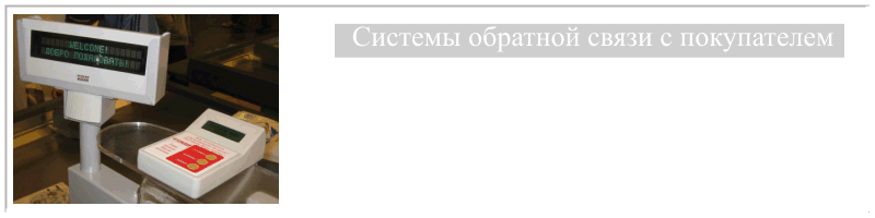 Системы проведения опросов клиентов